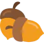 Acorn icon 64x64