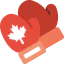 Mitts icon 64x64