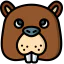 Beaver icon 64x64