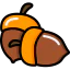 Acorn icon 64x64