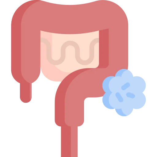 Bowels icon
