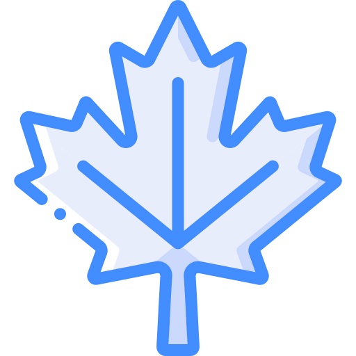 Maple leaf icon