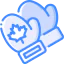 Mitts icon 64x64