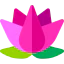Lotus icon 64x64