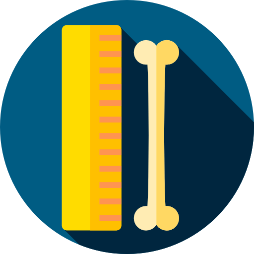 Ruler icon