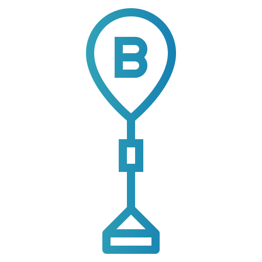 Place icon