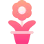 Flower icon 64x64