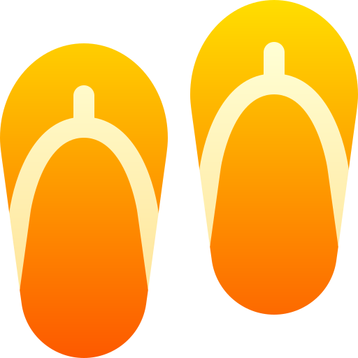 Flip flops icon