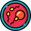 Ivf icon 64x64