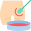 Petri dish icon 64x64