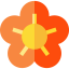 Flower icon 64x64
