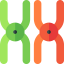 Chromosome icon 64x64