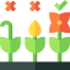 Plant icon 64x64