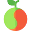 Biotechnology icon 64x64