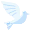 Pigeon icon 64x64