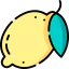 Lemon icon 64x64