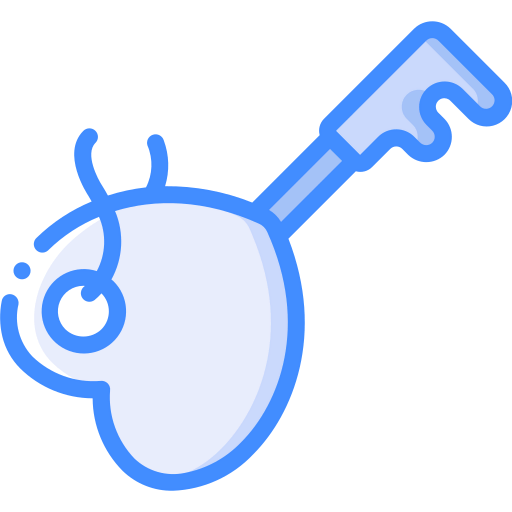 Key icon
