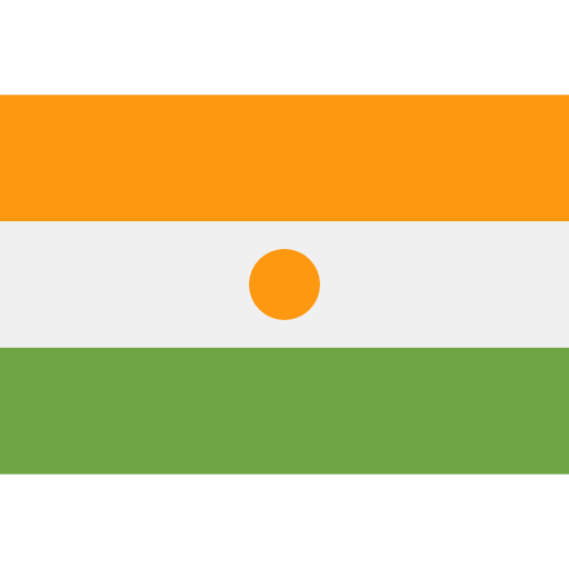 Niger icon