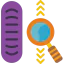 Zoom icon 64x64