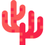 Coral icon 64x64