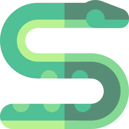 Snake icon