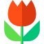 Macro icon 64x64