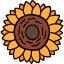 Sunflower icon 64x64