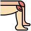 Knee icon 64x64