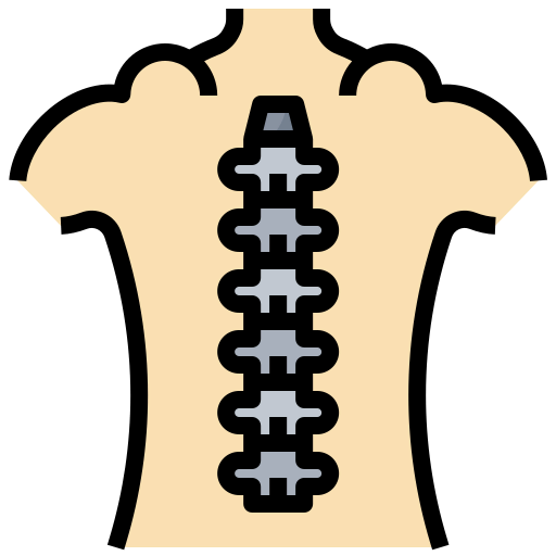 Spinal column icon