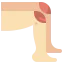 Knee icon 64x64