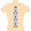 Spinal column 图标 64x64