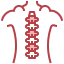 Spinal column 图标 64x64