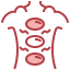 Hot stones icon 64x64