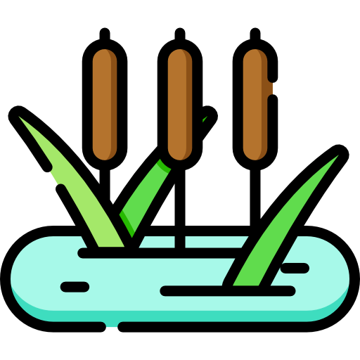 Reed icon