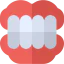 Denture icon 64x64