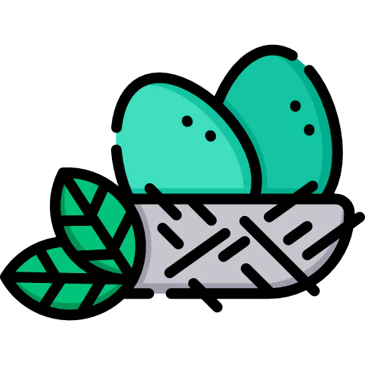 Egg Symbol