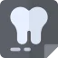X ray icon 64x64