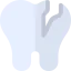 Tooth icon 64x64