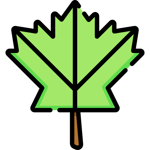 Maple leaf icon