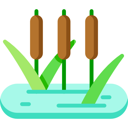 Reed icon