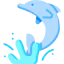 Dolphin icon 64x64
