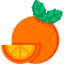 Orange icon 64x64
