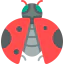 Ladybird icon 64x64
