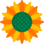 Sunflower icon 64x64
