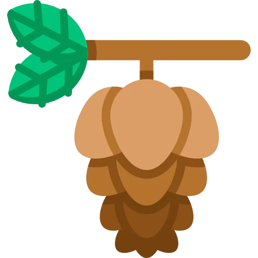 Pine icon