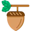 Acorn icon 64x64
