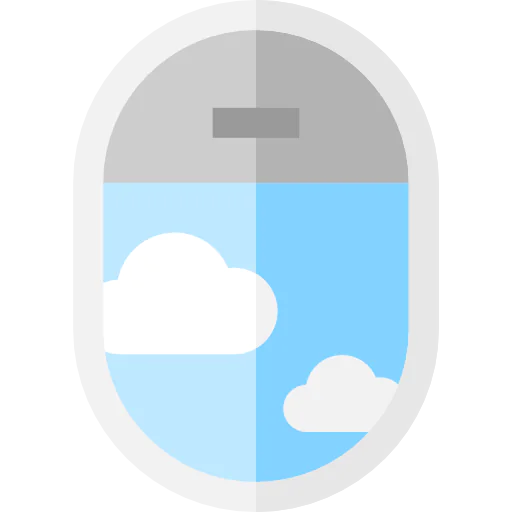 Window icon