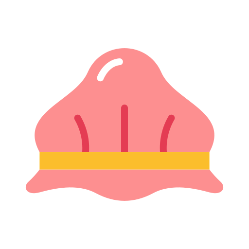Shower cap icon
