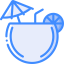 Coconuts biểu tượng 64x64