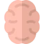 Brain Symbol 64x64